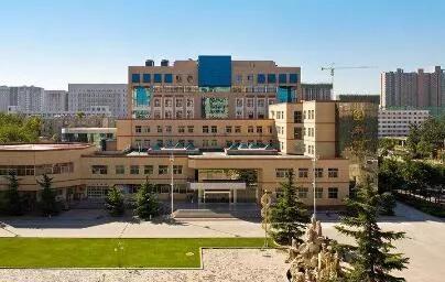 河北探秘，小巷深处的独特风味之旅